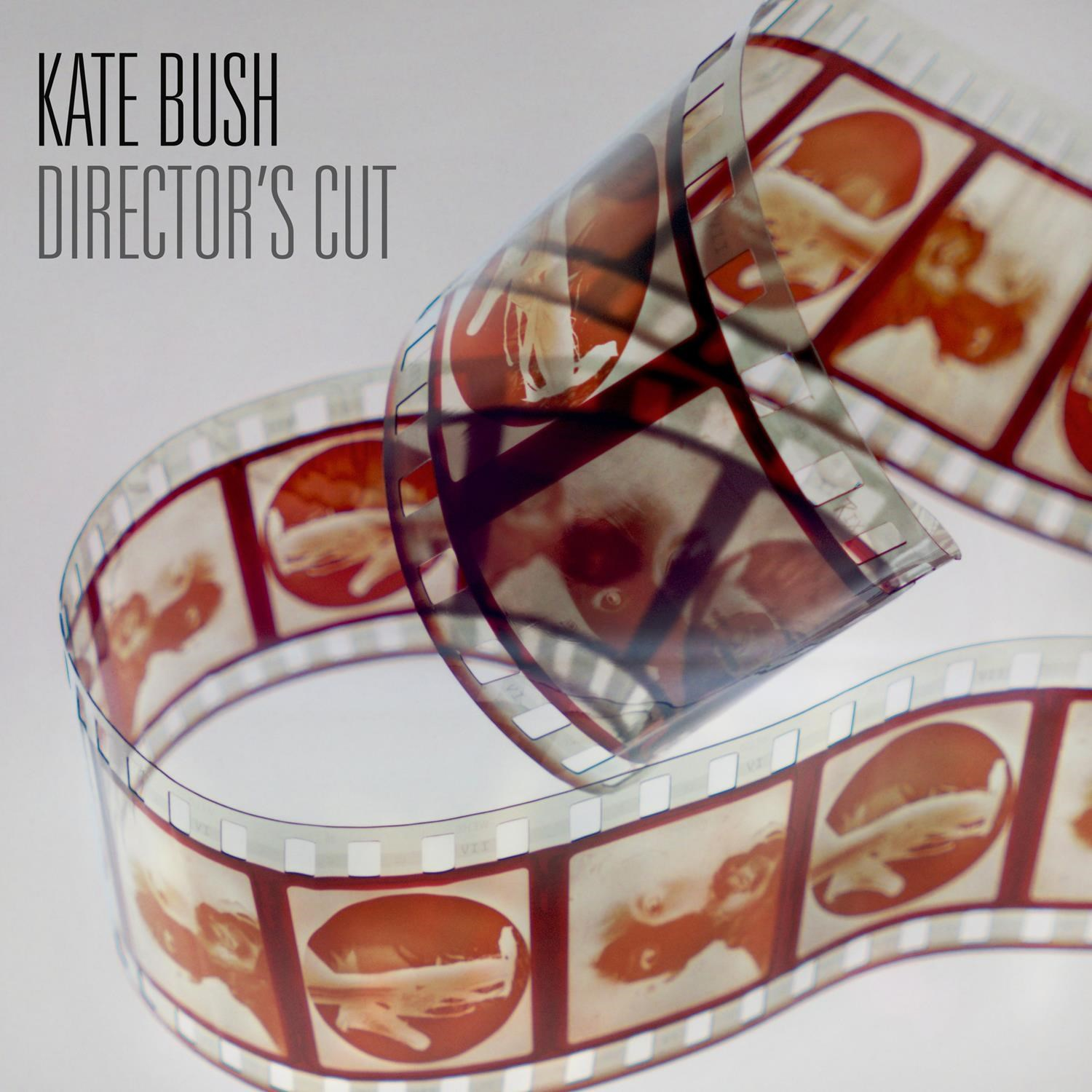 Testo Kate Bush Director's Cut su una pellicola con immagini arancioni.