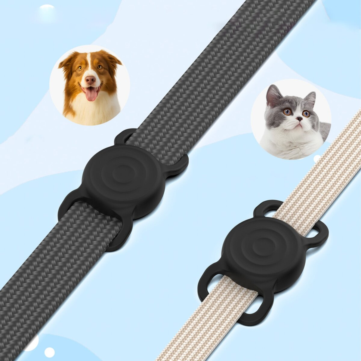 Ein Hund und eine Katze auf Halsbändern mit schwarzen Befestigungen.
