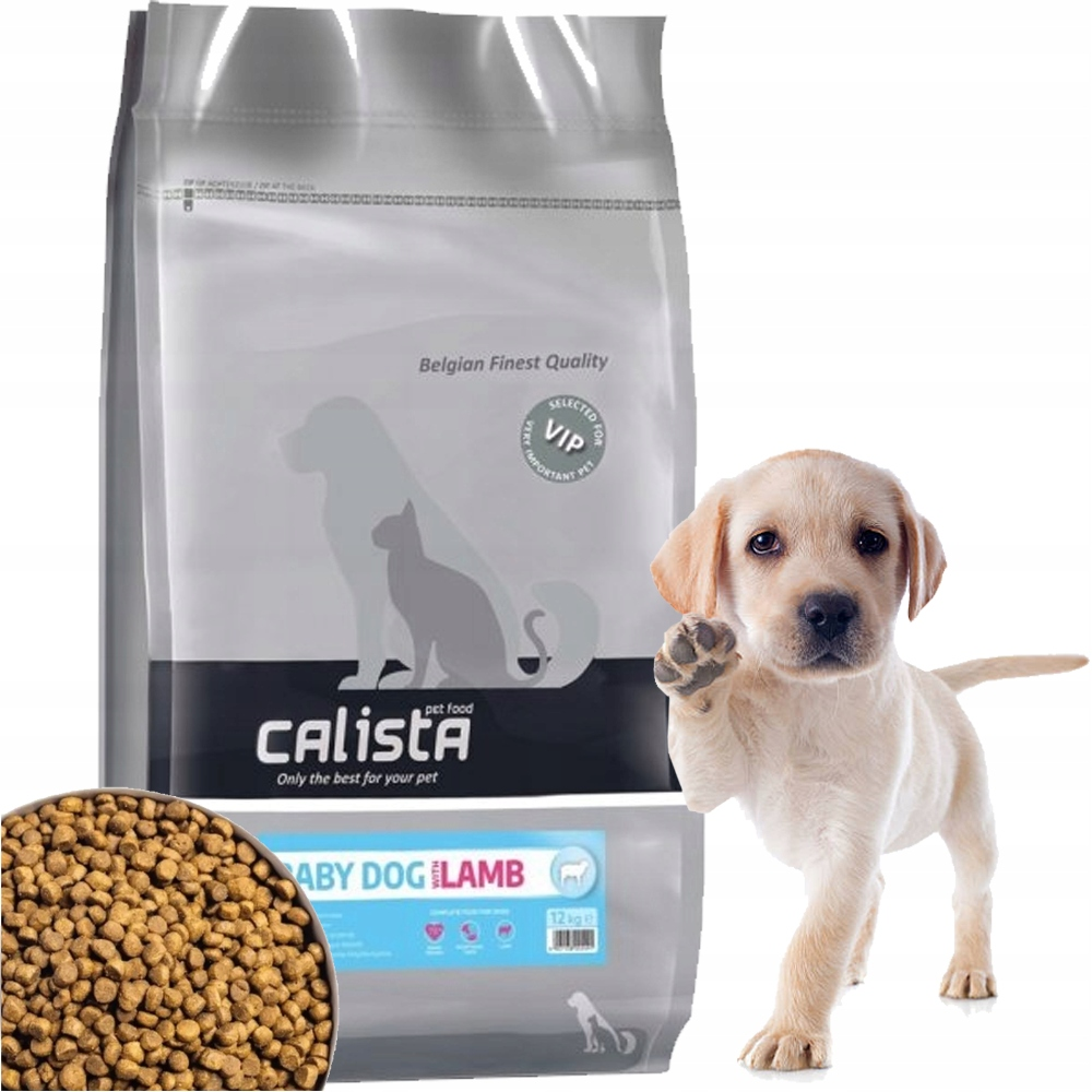 Szczeniak Labradora unosi łapę obok worka karmy dla psów.