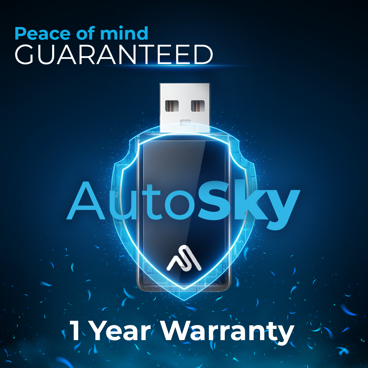 Ein USB-Stick mit dem Logo "AutoSky" auf einem blauen Hintergrund mit "1 Jahr Garantie".