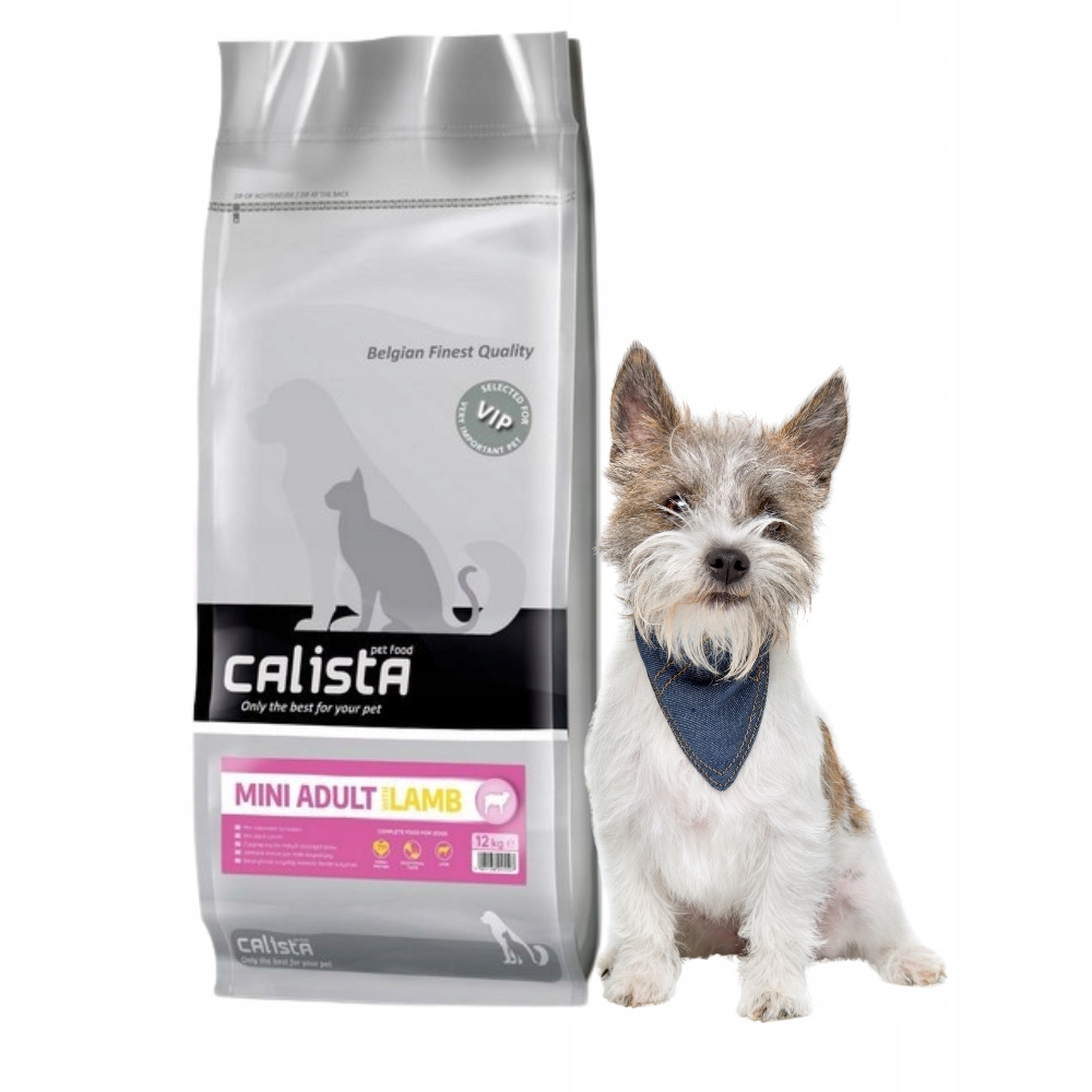 Mały pies w bandanie siedzi obok torby z karmą dla psów Calista.