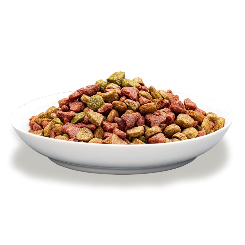 Biała miska wypełniona brązową i zieloną suchą karmą dla zwierząt.