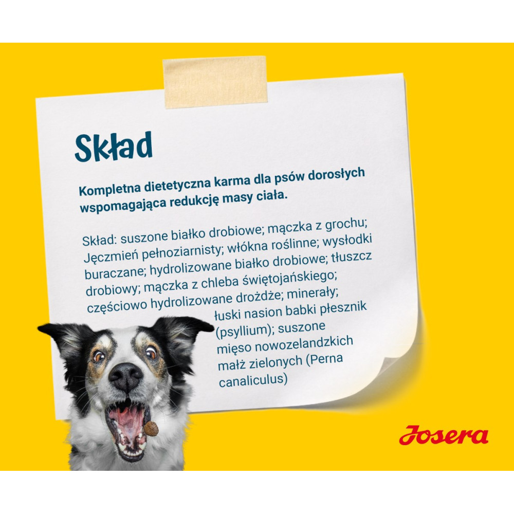 Ein weiß-schwarzer Hund mit offenem Maul, der Futter fängt. Ein weißes Papier mit polnischem Text ist darüber auf gelbem Hintergrund.