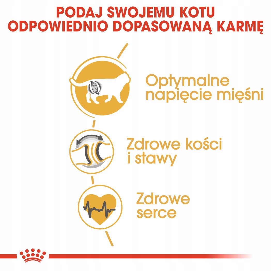 Grafika pokazuje korzyści karmy dla kotów: mięśnie, kości, stawy, serce.