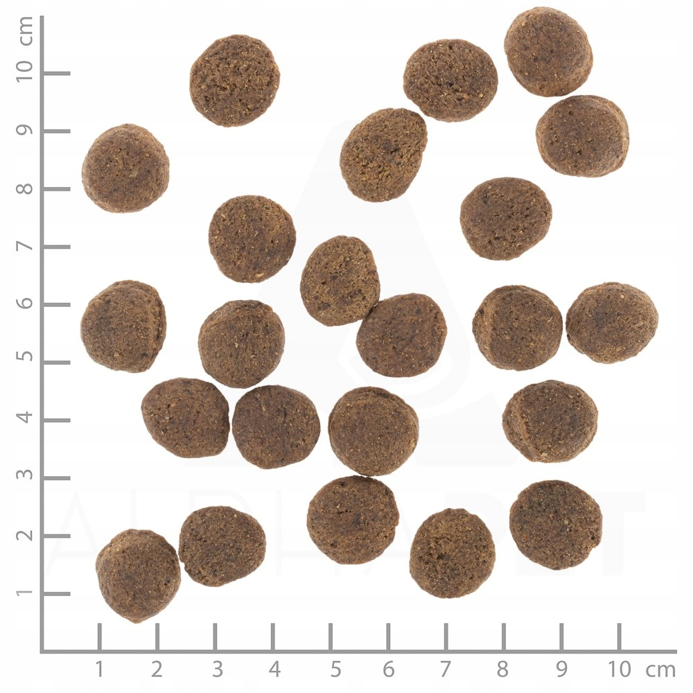 Kilka brązowych, okrągłych granulek rozsypanych na białym tle.