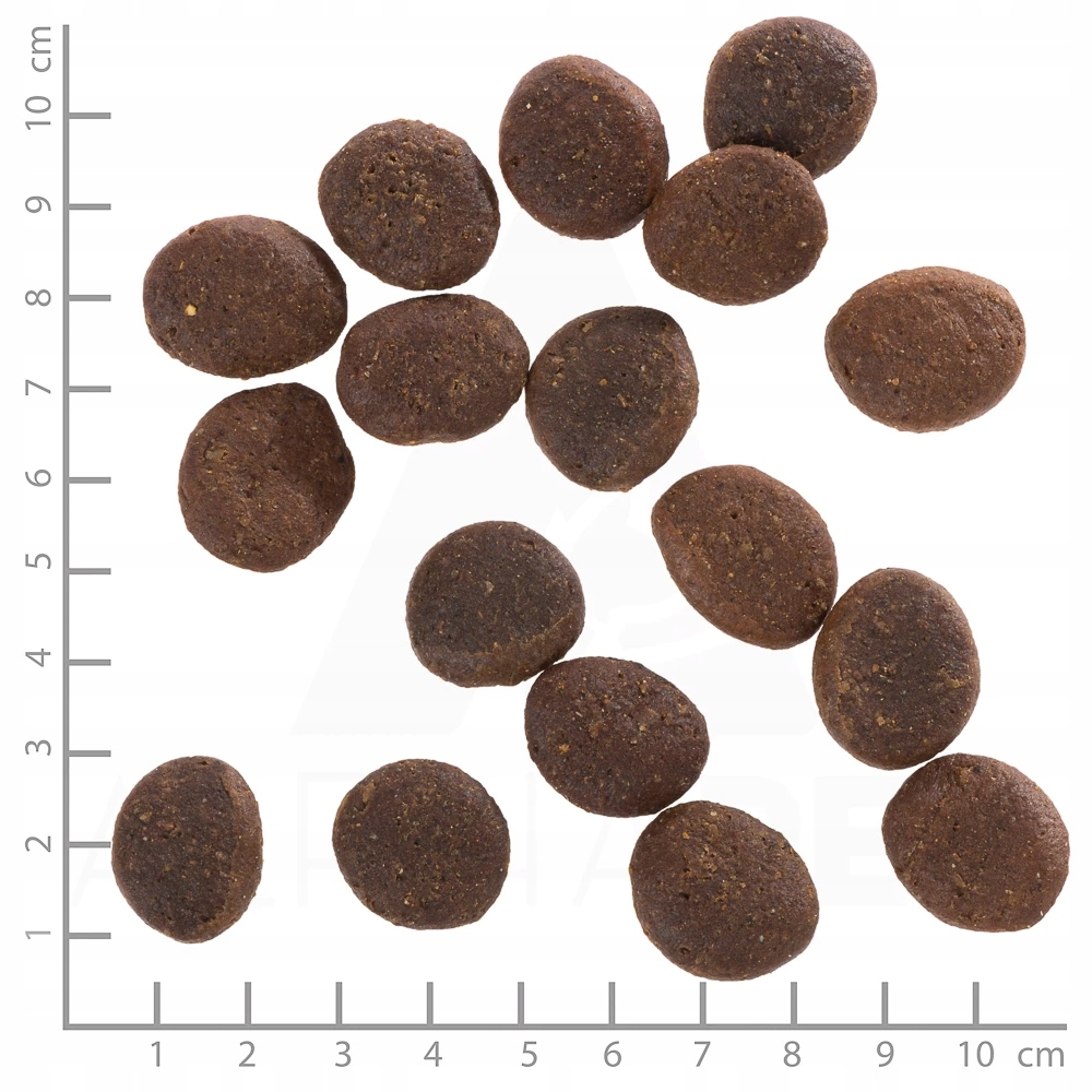 Kilka brązowych, owalnych granulek karmy dla zwierząt na białym tle z linijką.