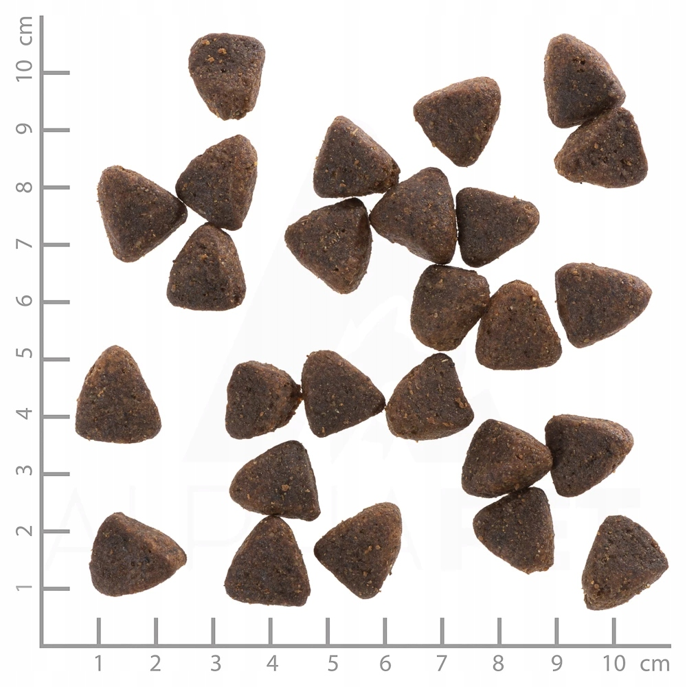 Wiele ciemnobrązowych, trójkątnych kawałków karmy rozsypanych jest na białej powierzchni z szaro-białą siatką pomiarową.