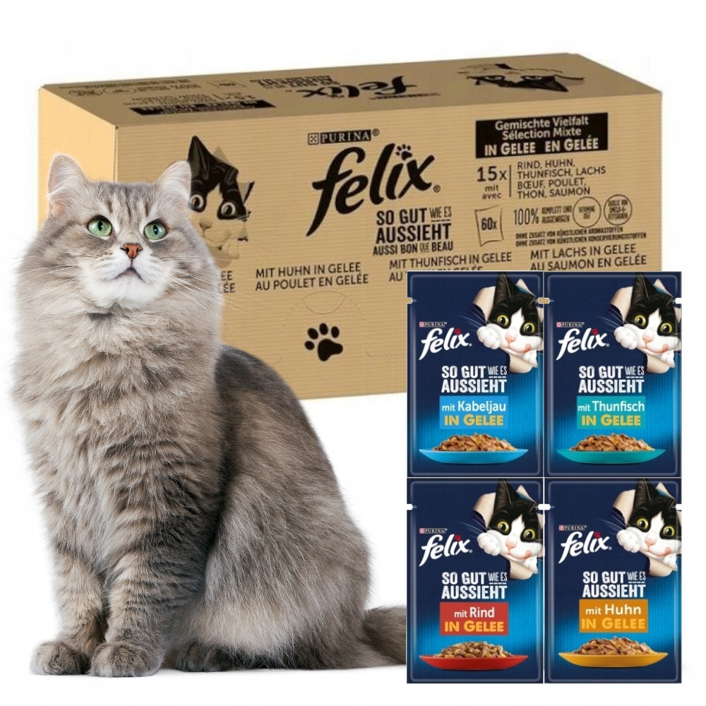 Puszysty szary kot siedzi obok pudełka karmy dla kotów Felix i czterech pojedynczych saszetek mokrej karmy.