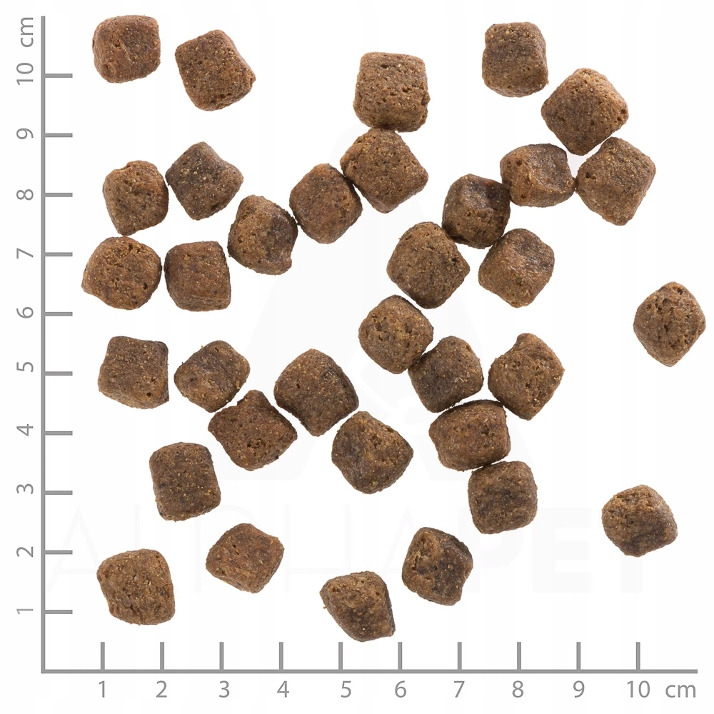 Wiele brązowych chrupek rozsypanych na białym tle ze skalą centymetrową.