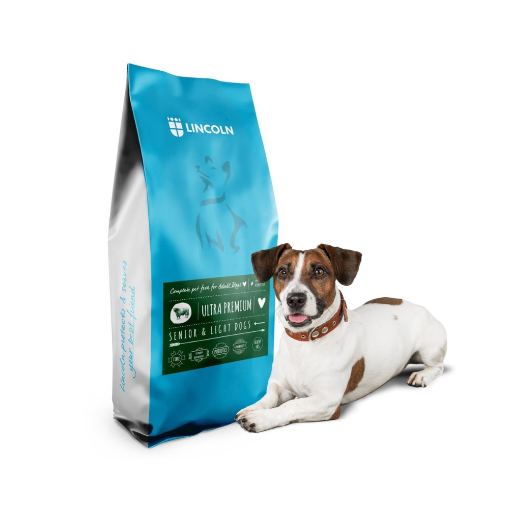 Terier Jack Russell leży obok worka karmy dla psów Lincoln.