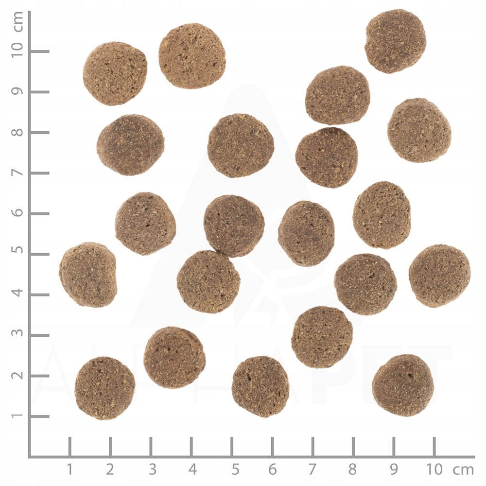 Wiele brązowych granulek rozsypanych na białej powierzchni.