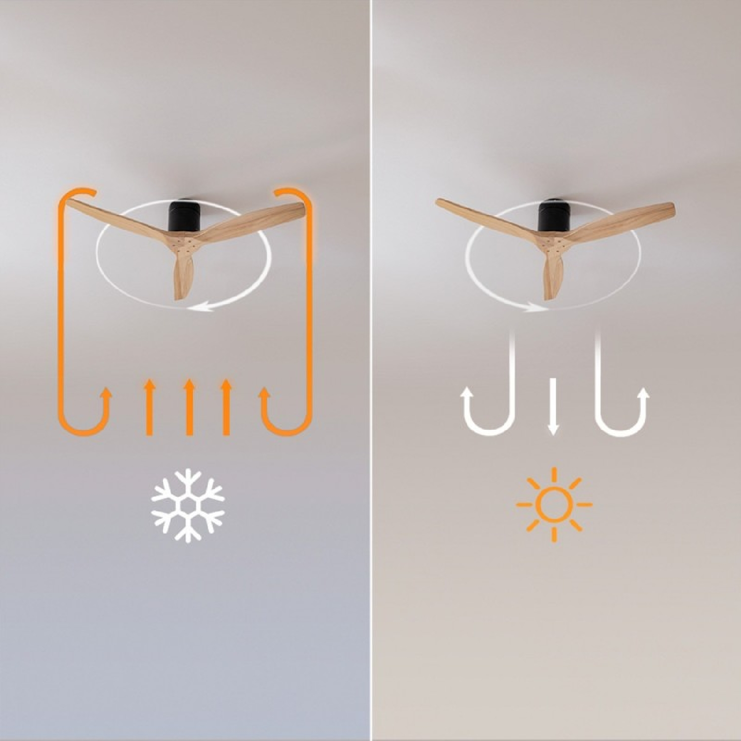 Ventilatore da soffitto con pale in legno che fa circolare l'aria estate/inverno.