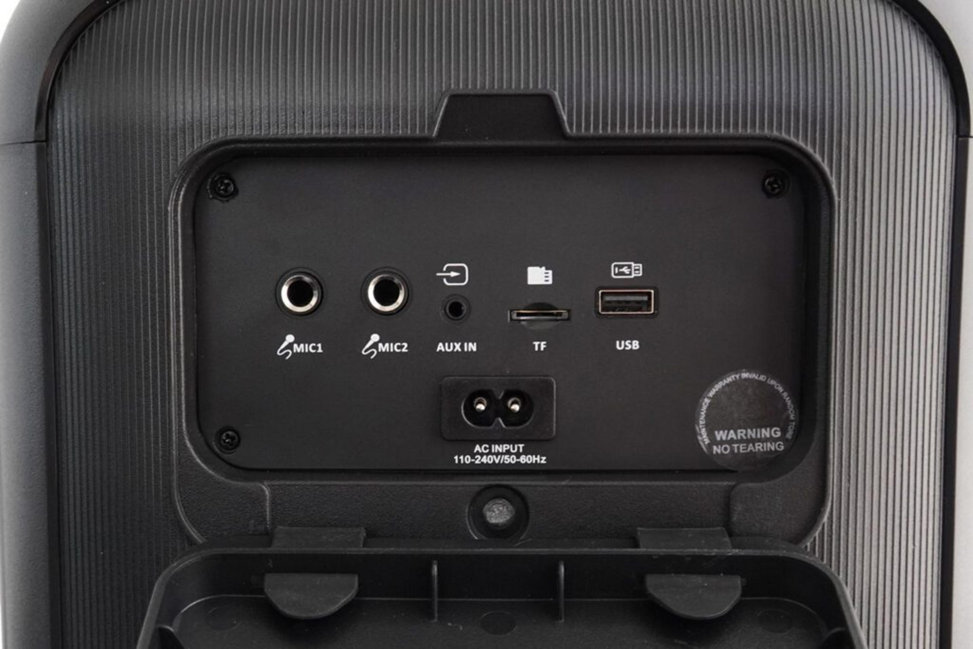 Pannello posteriore con ingressi microfono, aux in, porte TF e USB. Ingresso CA.