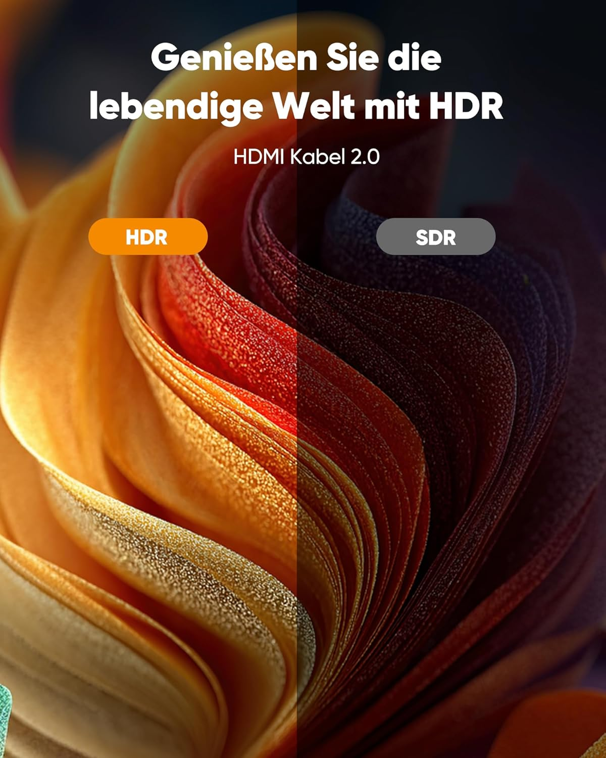 Porównanie jakości obrazu HDR i SDR, żywe kolory po lewej, ciemniejsze odcienie po prawej.