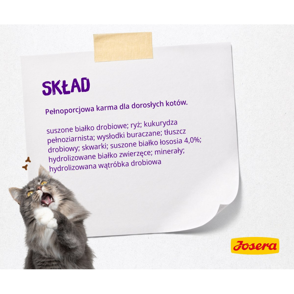 Kot patrzy na listę składników karmy dla zwierząt.