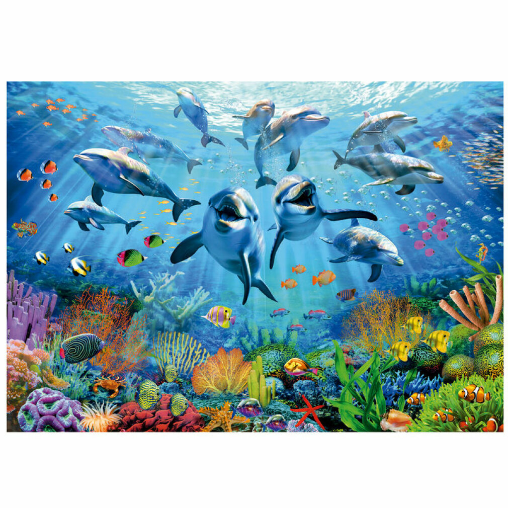 Varios delfines nadan en un arrecife de coral con peces de colores y plantas marinas.