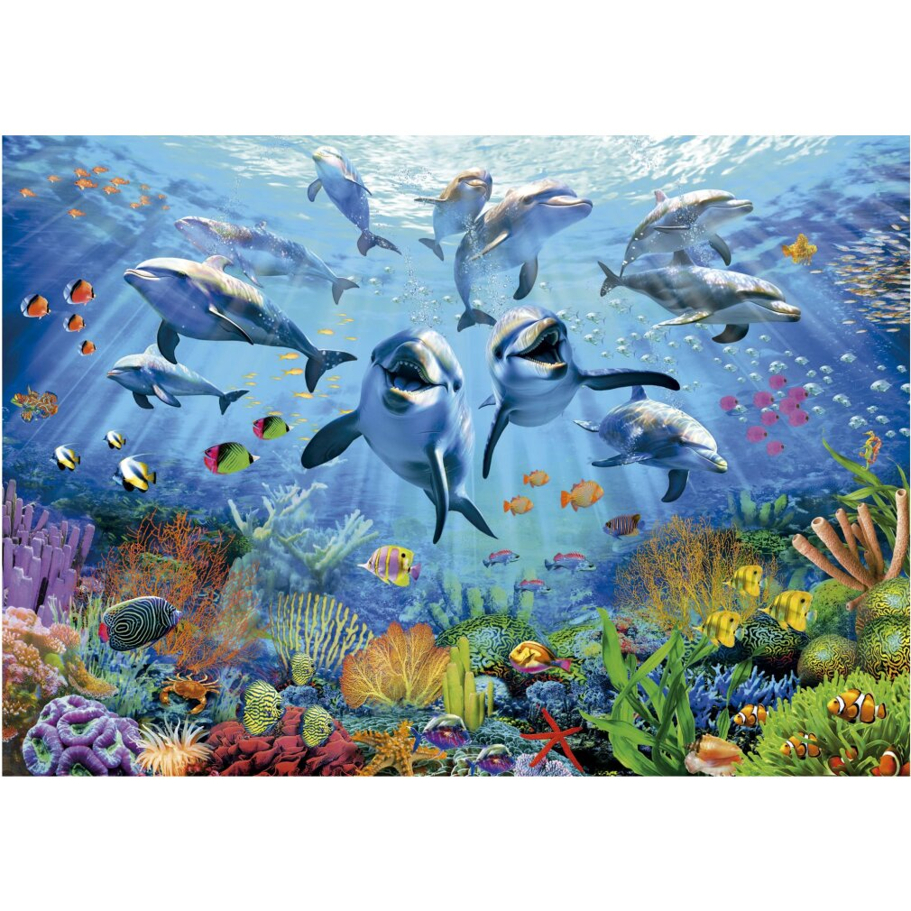 Delfines nadan sobre arrecifes de coral con muchos peces de colores.
