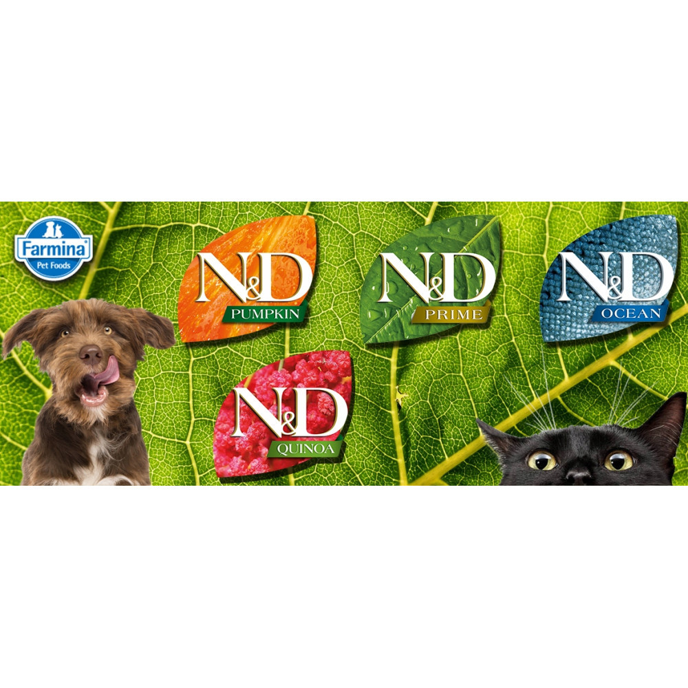 Pies liże wargi, obok cztery liście z logo N&D: Dynia, Prime, Ocean, Quinoa. Kot wygląda zza kadru.