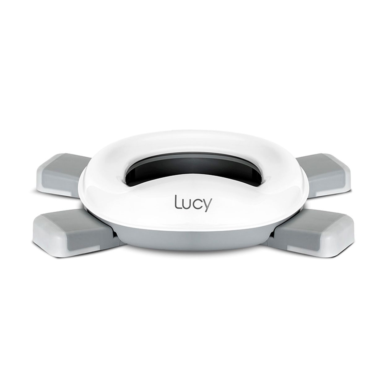 Ein weißes und graues Objekt mit dem Namen 'Lucy' darauf.