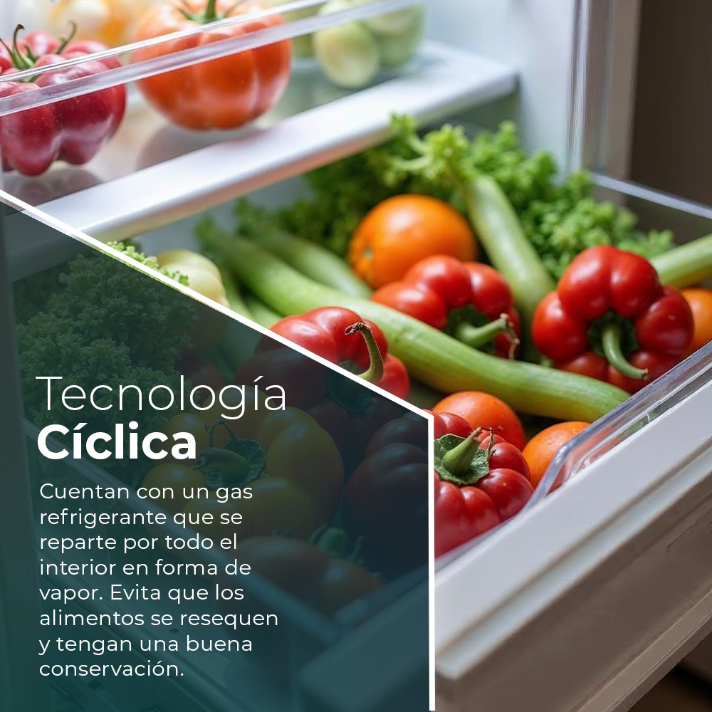 Un cajón de refrigerador lleno de pimientos, pepinos, tomates y naranjas.