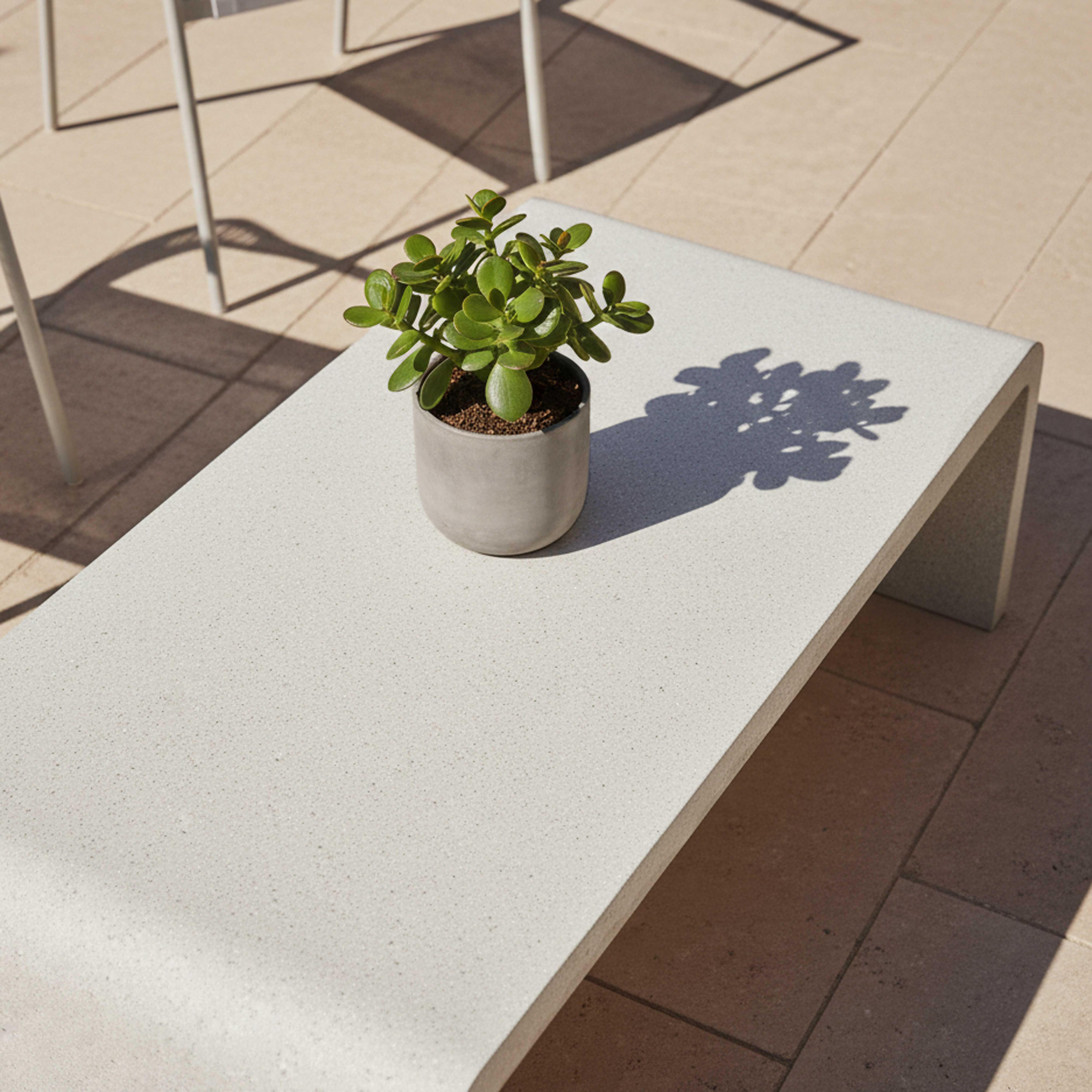 Eine Topfpflanze auf einem hellen Tisch im Freien mit Schatten von Stühlen.