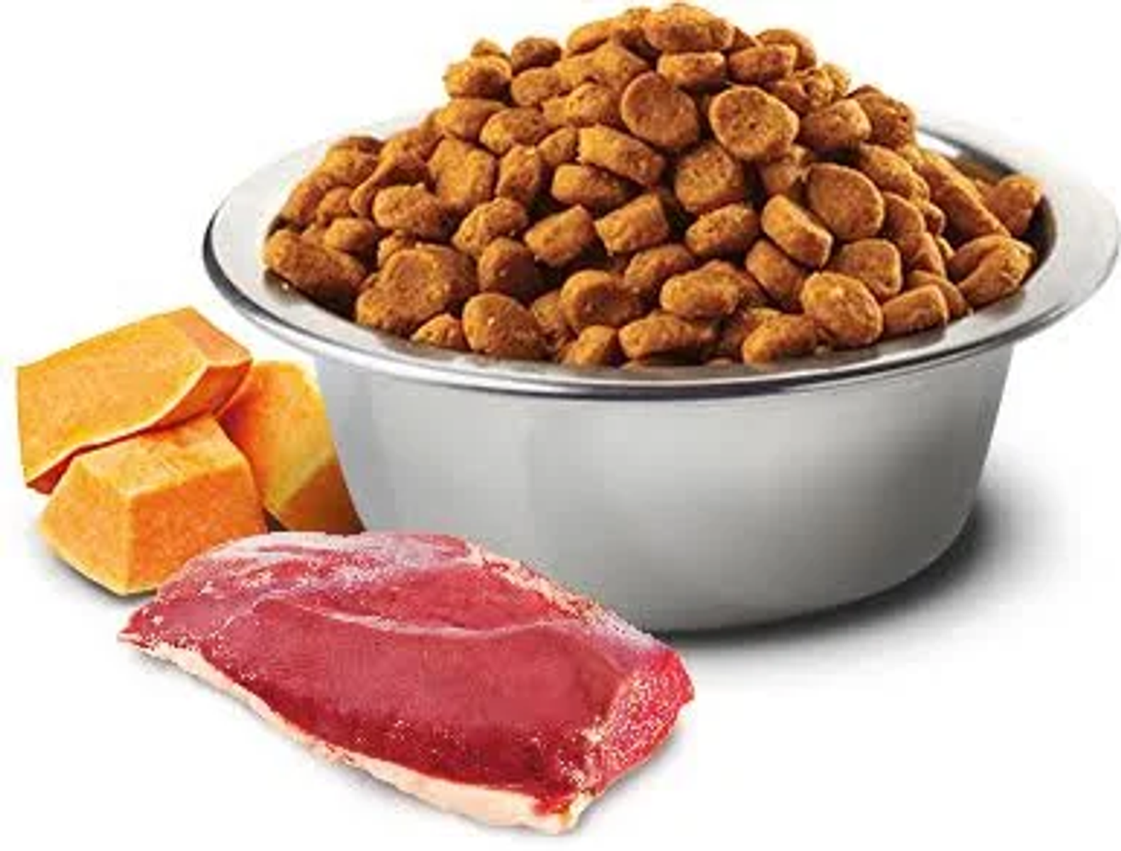 Miska dla psa z karmą, obok surowe mięso i kawałki dyni.