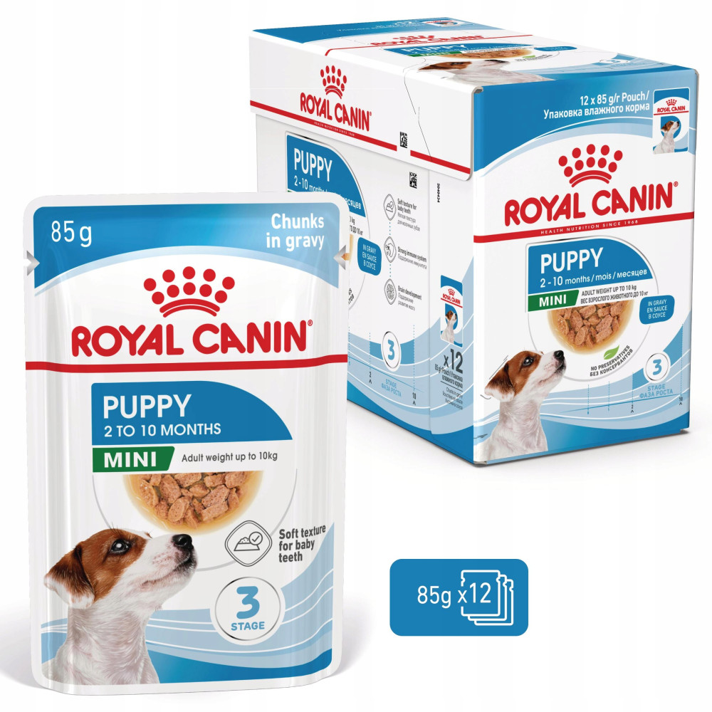 Karma Royal Canin dla szczeniąt w sosie, 12 saszetek po 85g, ze szczeniakiem rasy Jack Russell.
