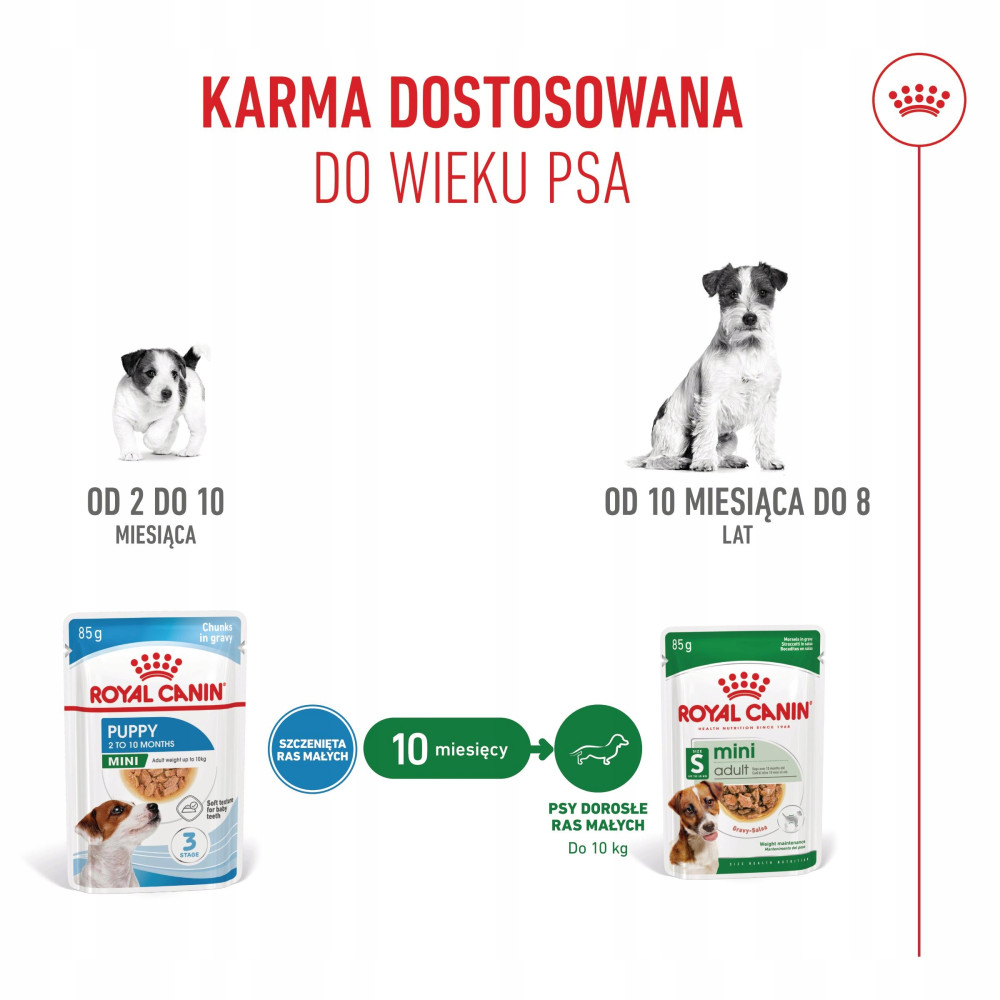 Karma dla szczeniąt i dorosłych psów, dopasowana do wieku i rasy.