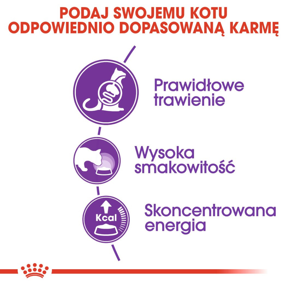 Ilustracje pokazują trawienie, smakowitość i energię karmy dla kota.