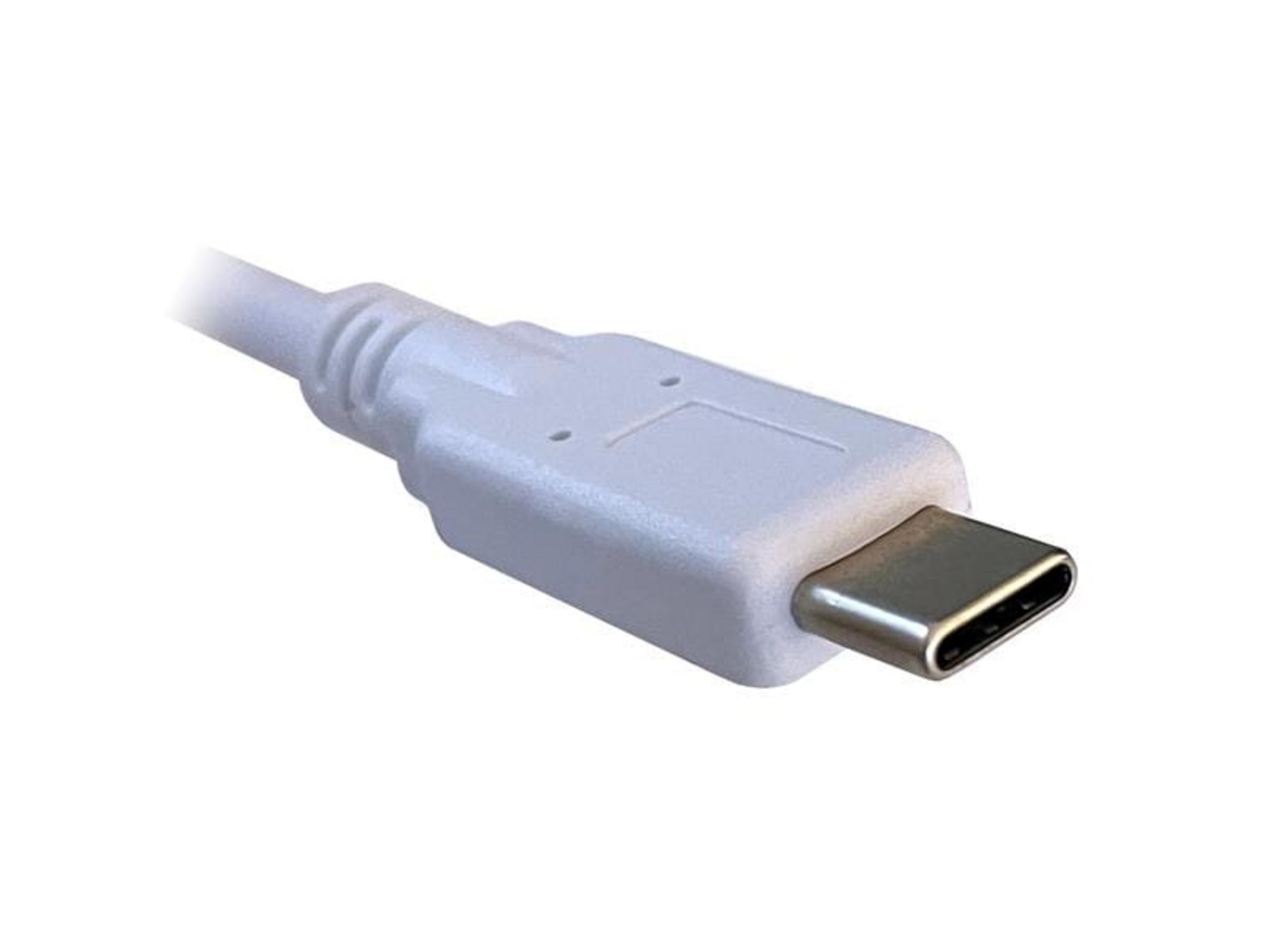 Un cavo USB-C bianco con connettore argentato.