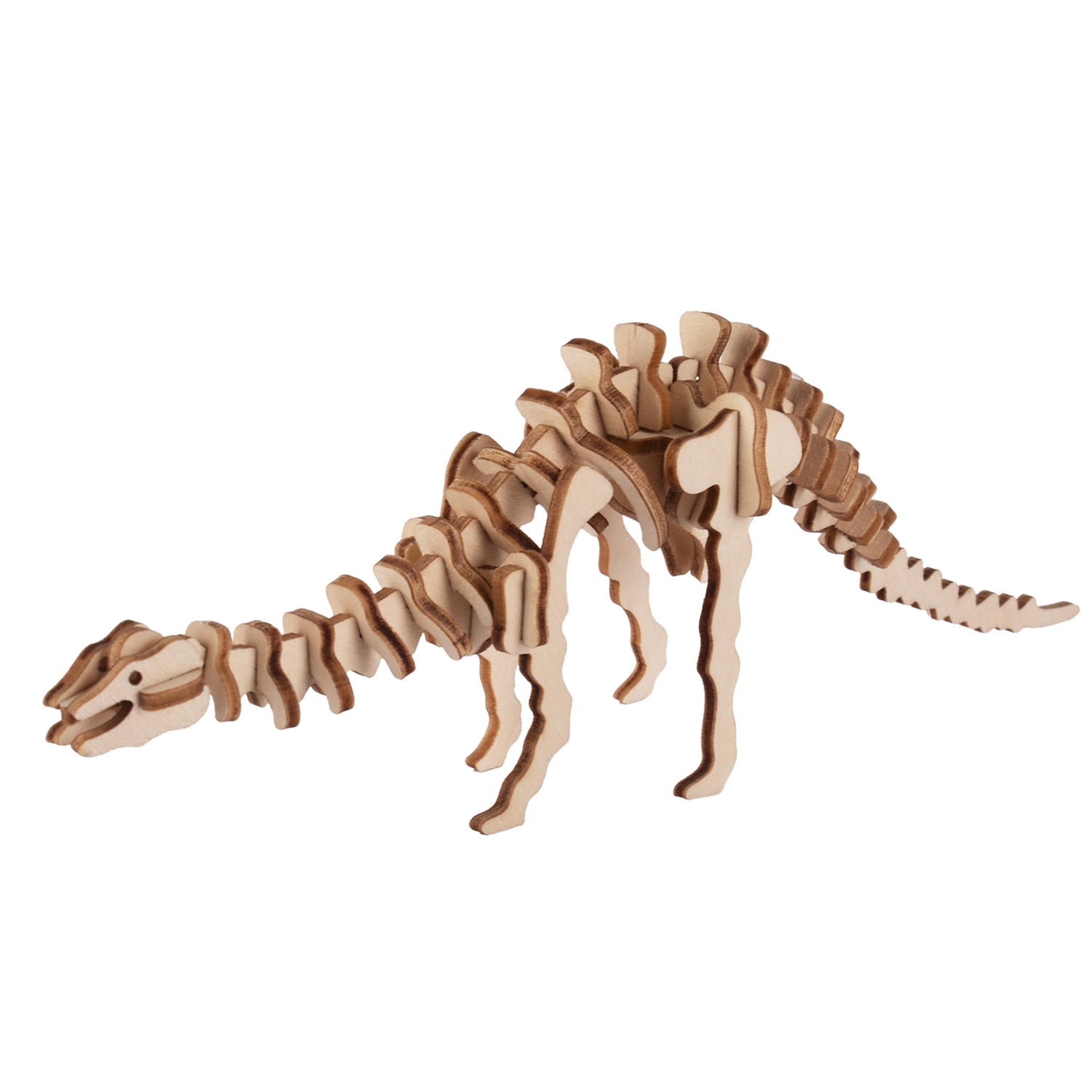 Uno scheletro di dinosauro in legno su sfondo bianco.