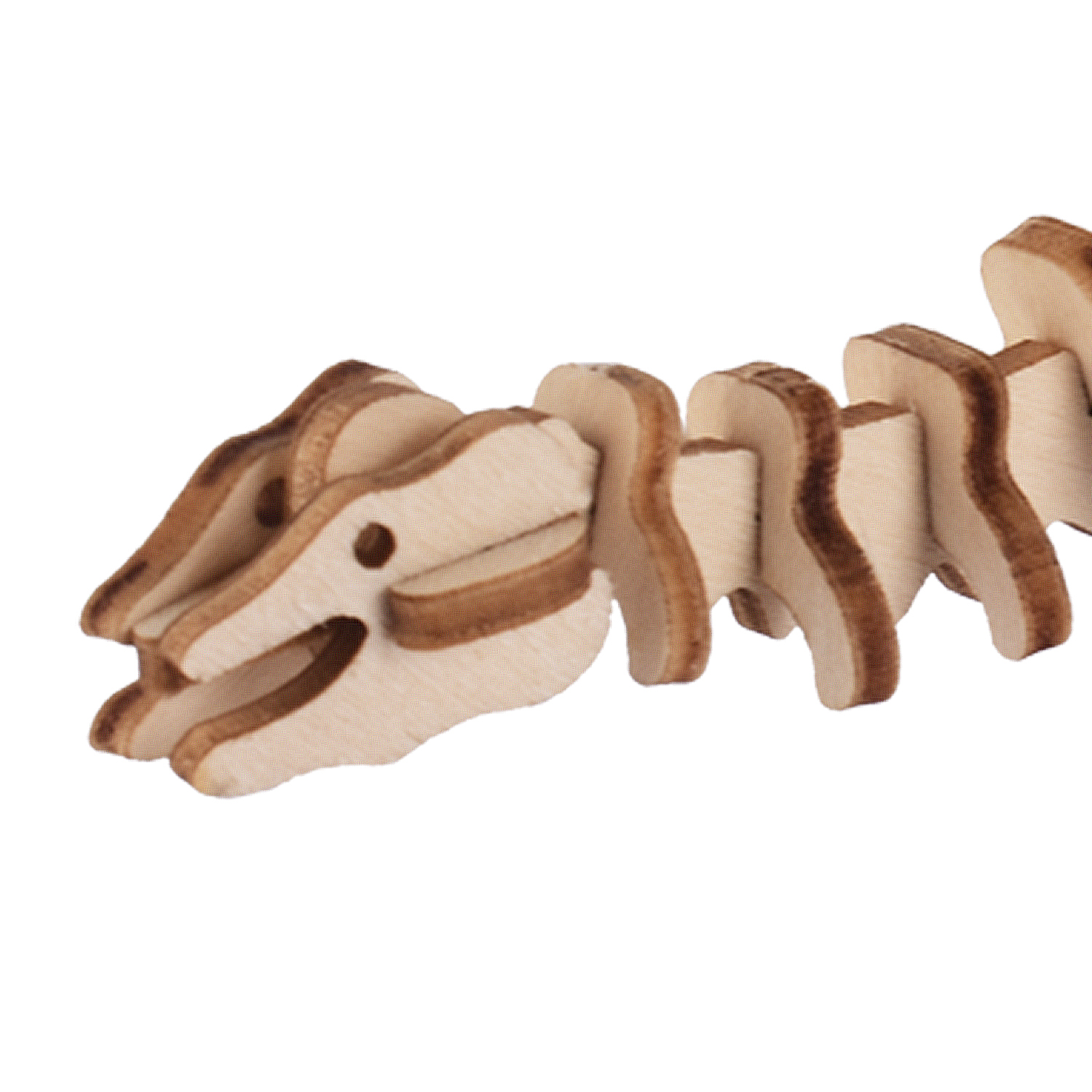 Modello in legno di scheletro di dinosauro, primo piano di testa e colonna vertebrale.