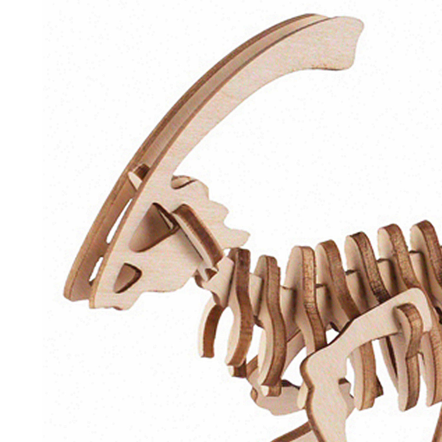 Un modello di scheletro di dinosauro in legno con collo e corpo a coste.