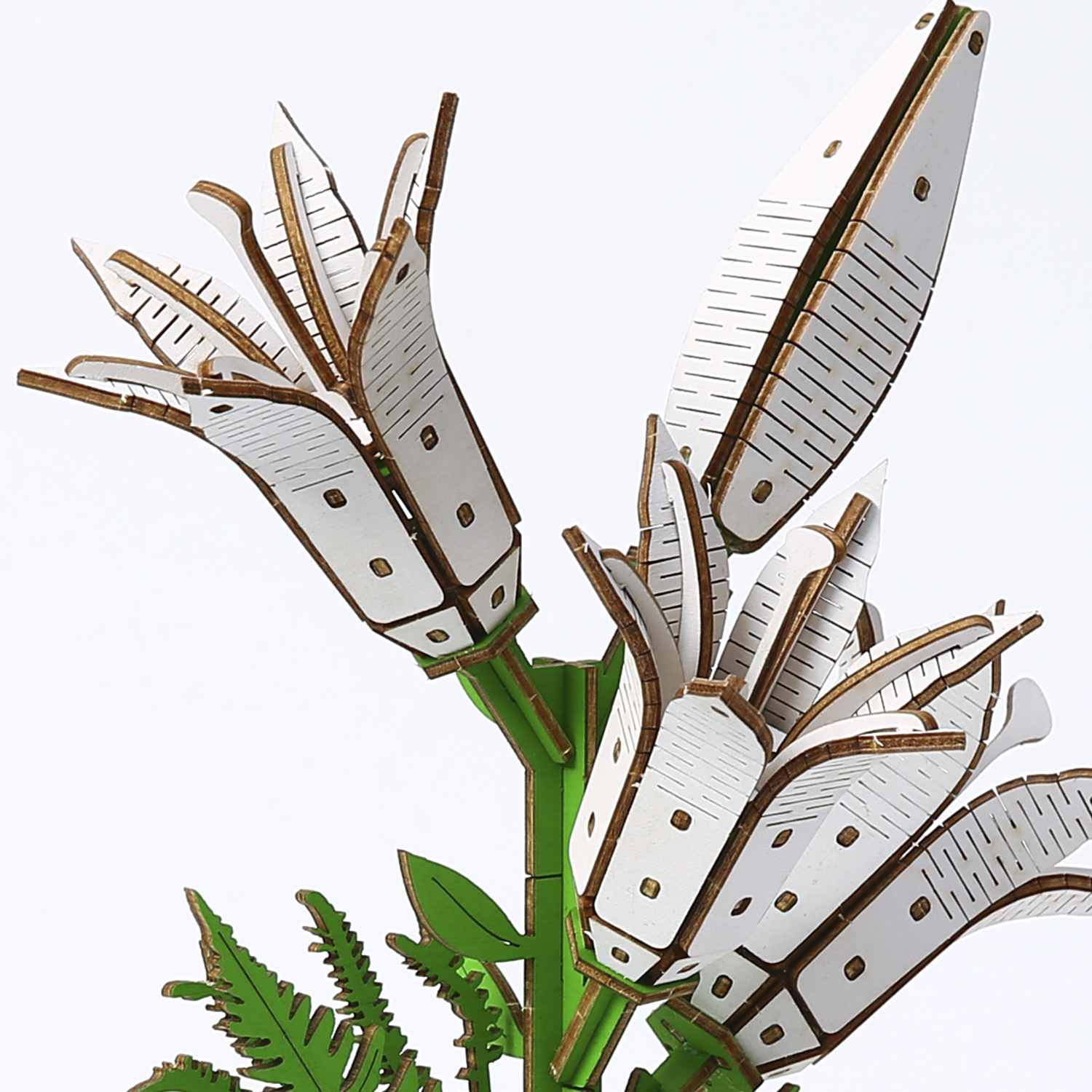 Un modello in legno di un fiore bianco con foglie verdi, su sfondo bianco.