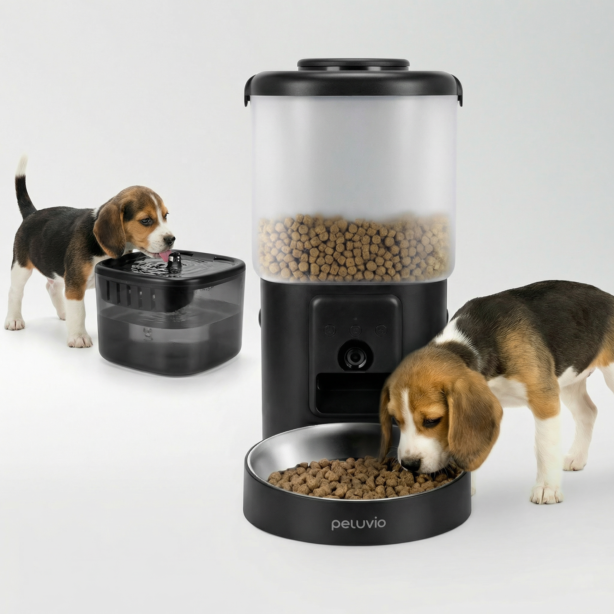 Zwei Beagle-Welpen trinken aus einem Brunnen und fressen aus einem Futterautomaten.