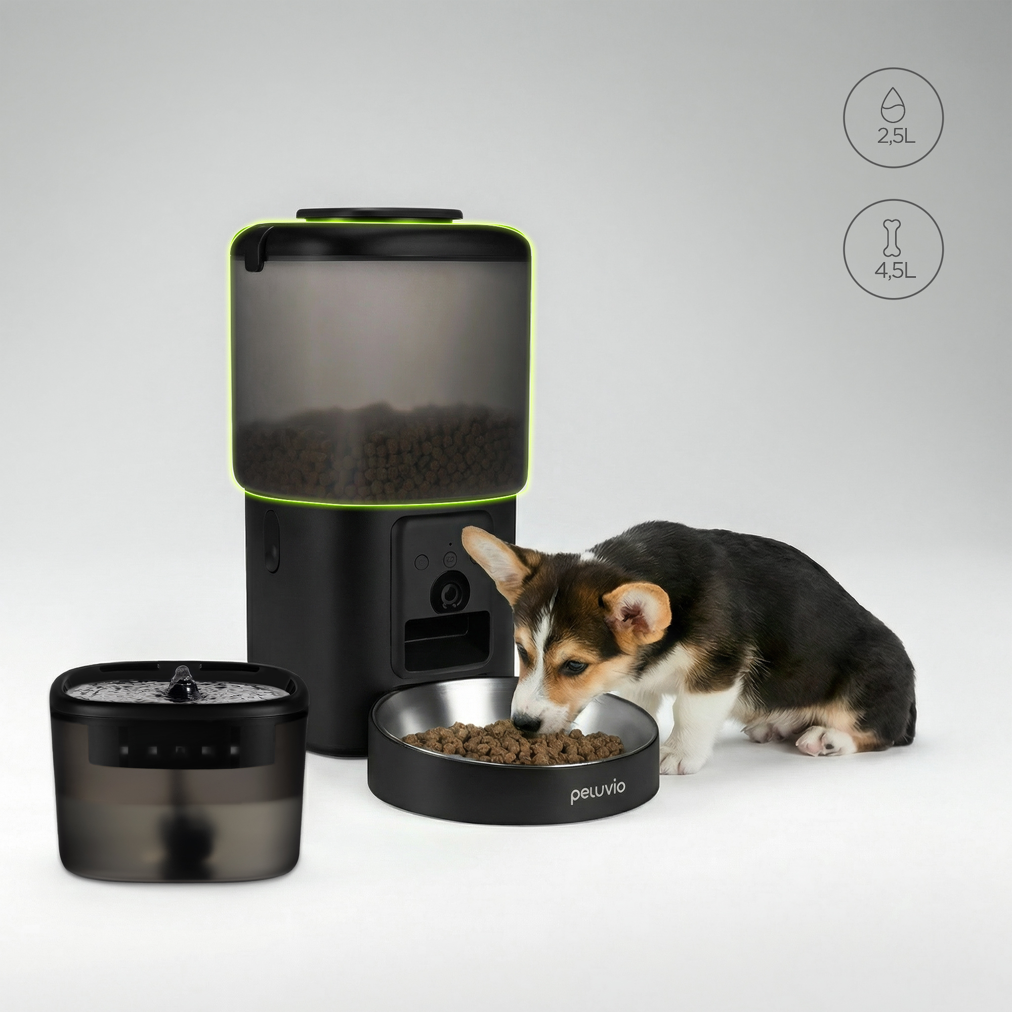 Ein Corgi-Welpe frisst aus einem Napf neben einem Futterautomaten.