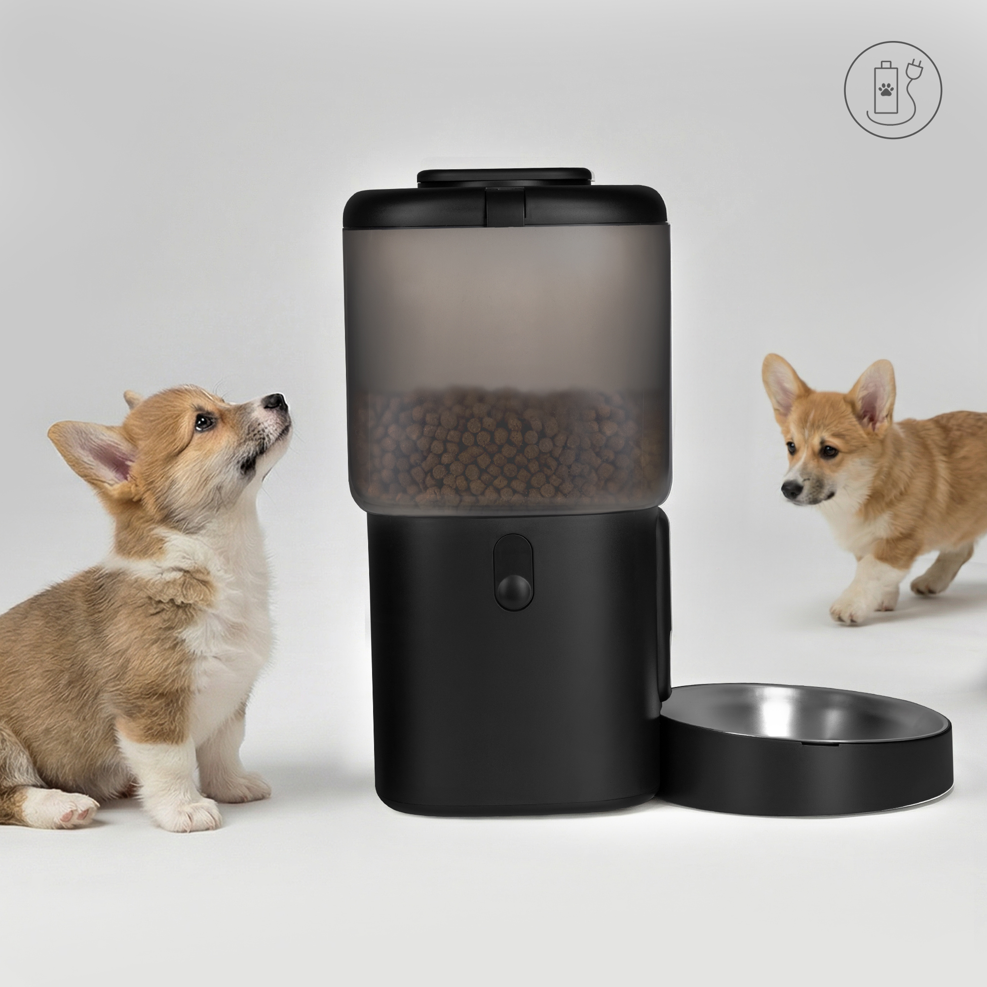 Zwei Corgi-Welpen und ein schwarzer Futterautomat auf weißem Hintergrund.