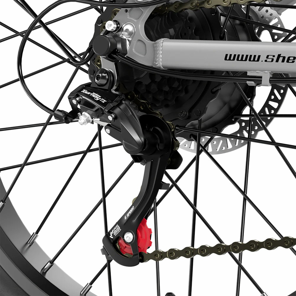 Nahaufnahme des Fahrrad-Schaltwerks mit Kette und Speichen. www.she.
