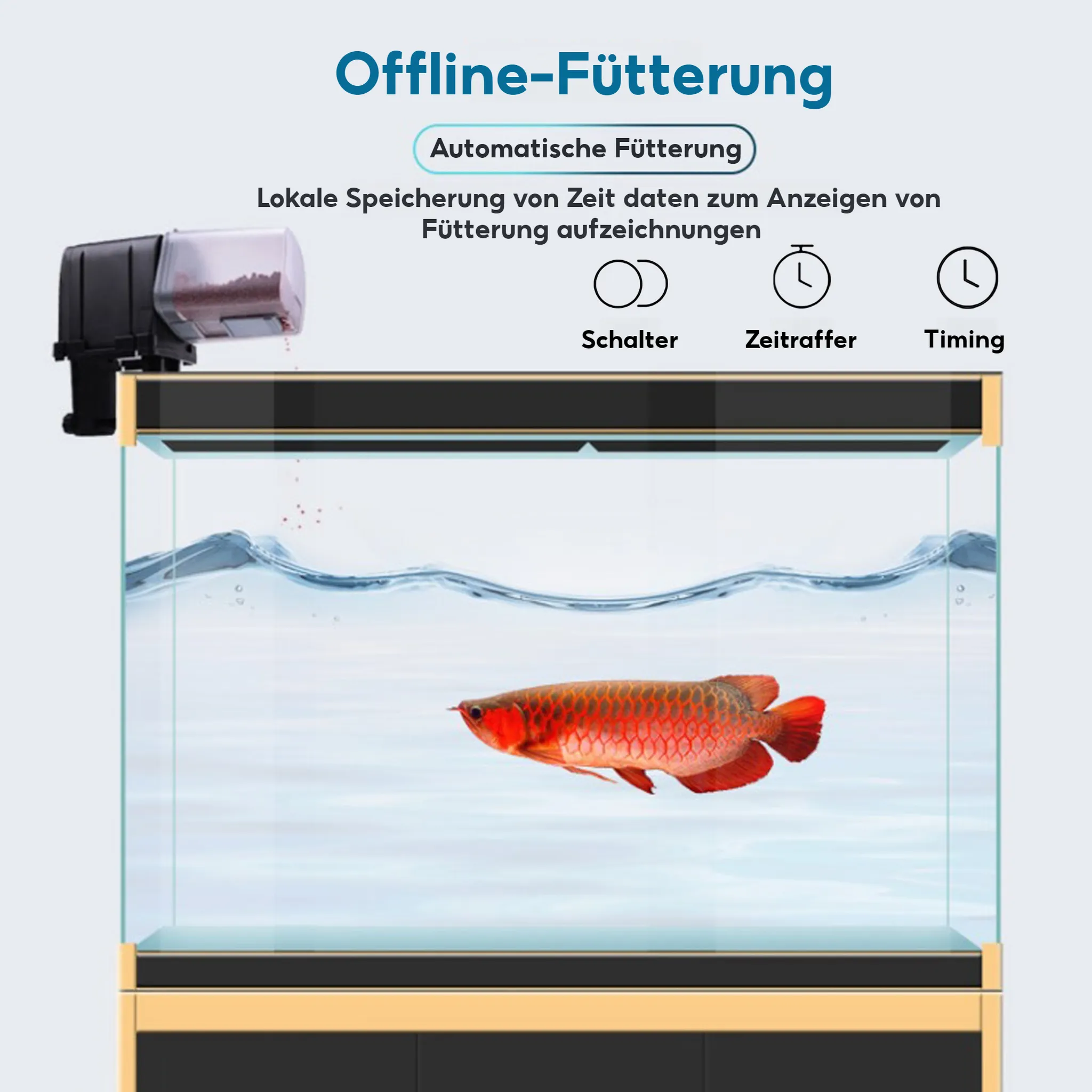 Ein roter Zierfisch schwimmt in einem Aquarium mit einem automatischen Futterspender.