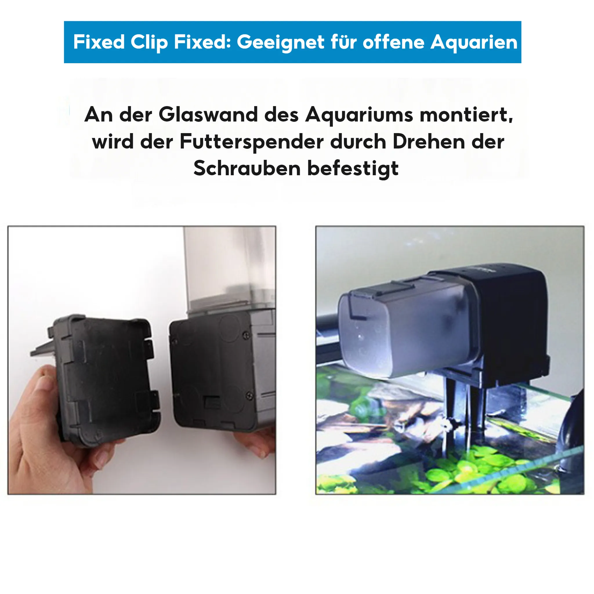 Ein Futterspender wird an einem Aquarium befestigt.