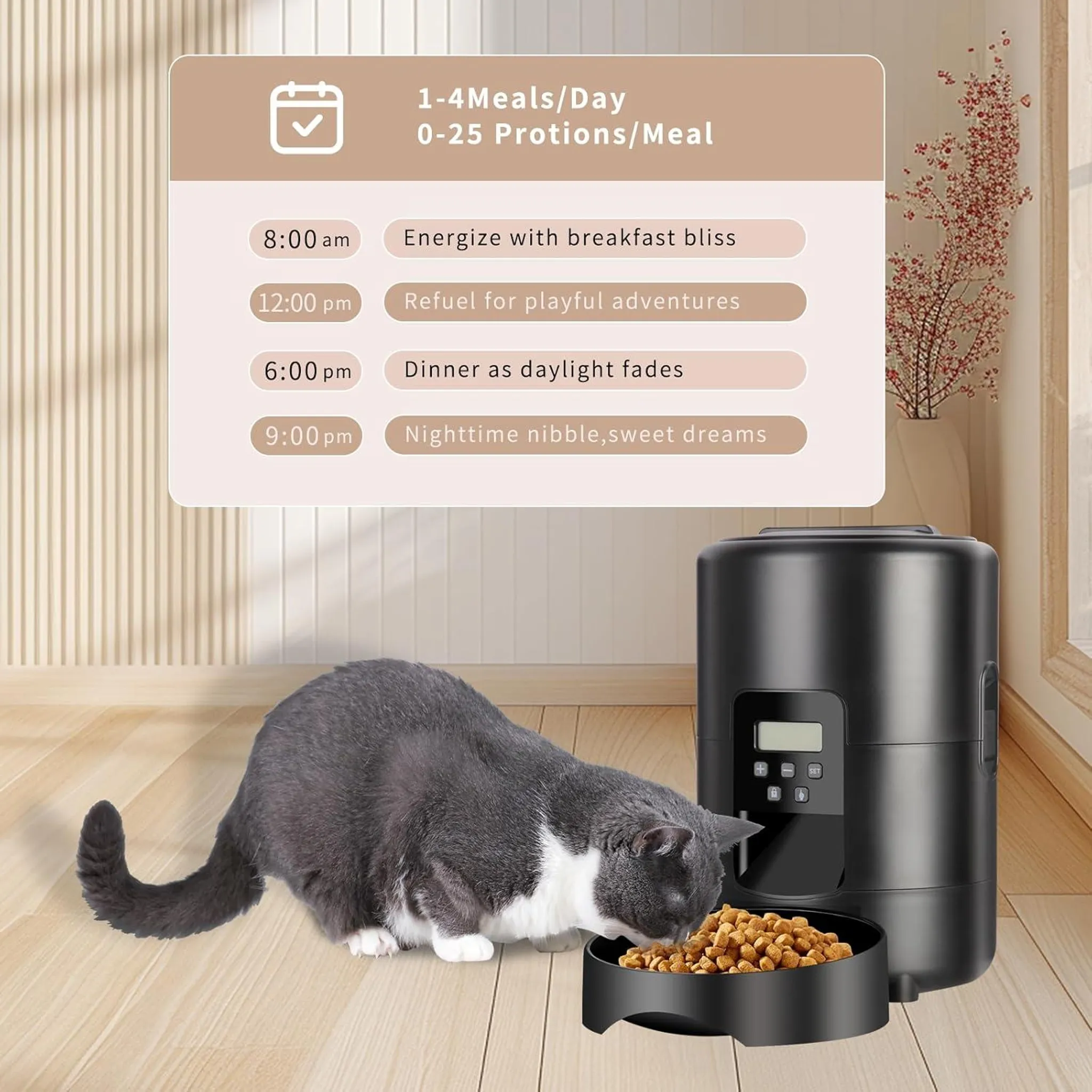 Grauer und weißer Kater frisst aus schwarzem Futterspender. Zeitplan angezeigt.