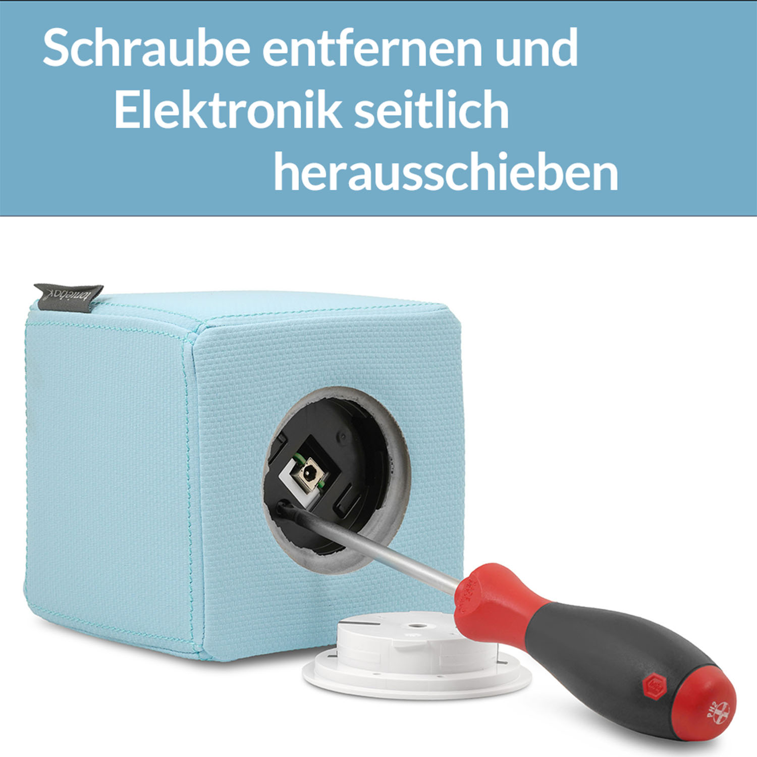 Schraube entfernen und Elektronik herausschieben.