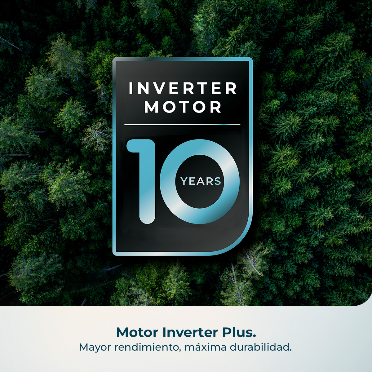 Motore Inverter 10 Anni logo su sfondo foresta verde scuro.