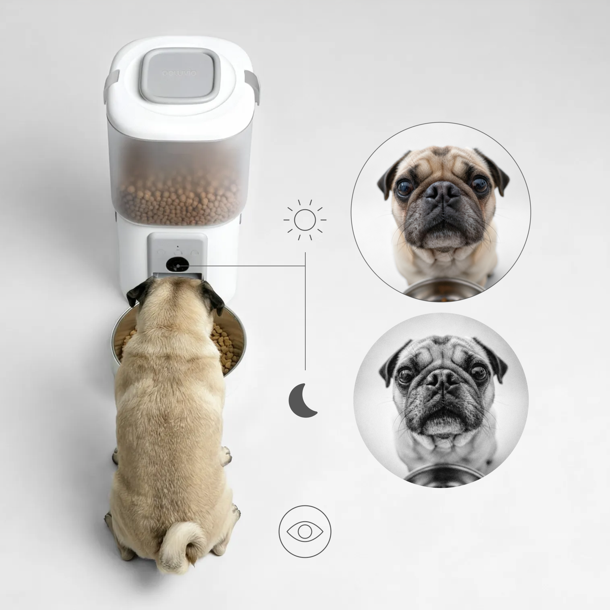 Ein Mops frisst aus einem Futternapf neben einem Futterautomaten. Zwei Porträts des Hundes sind daneben.
