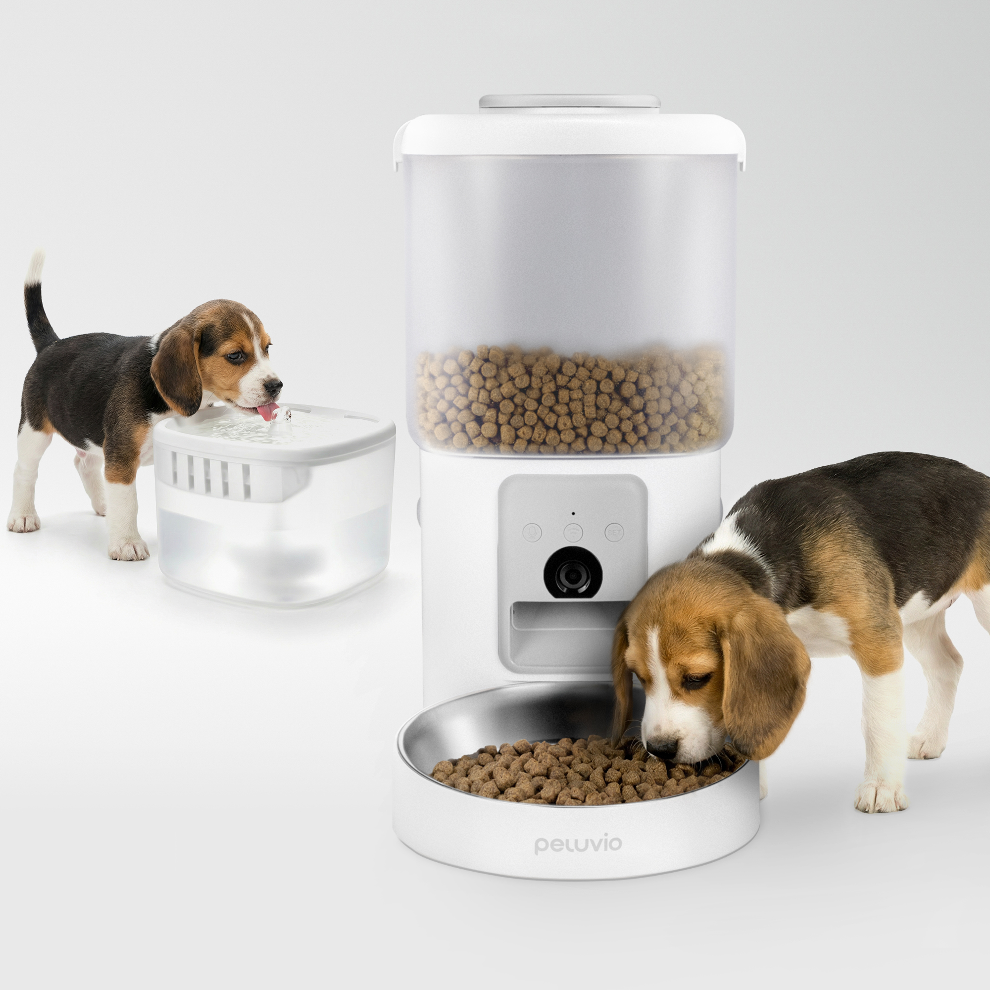 Zwei Beagle-Welpen interagieren mit einem Futterautomaten und einem Wasserbrunnen.