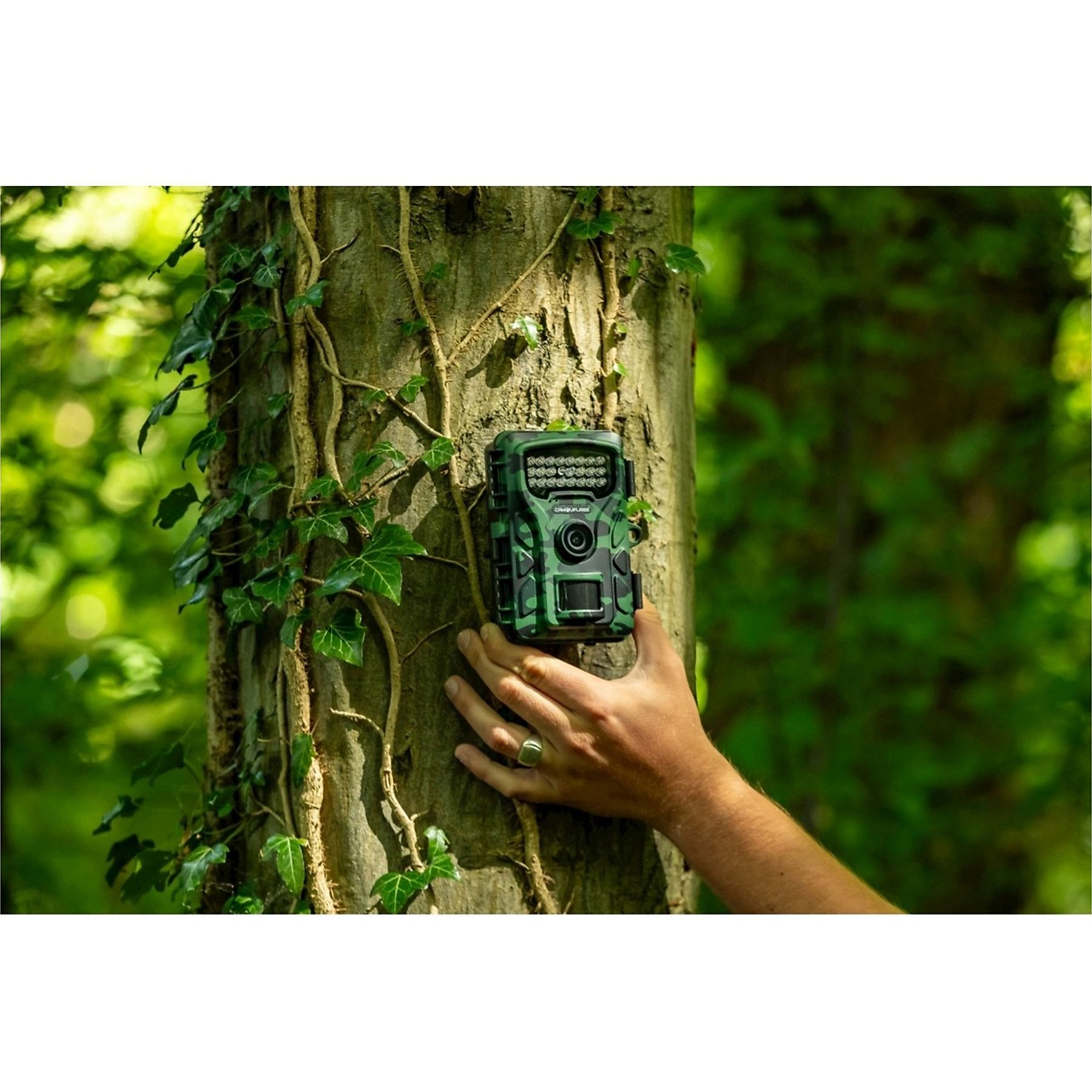 Una mano attacca una fotocamera mimetica verde a un tronco d'albero coperto d'edera.
