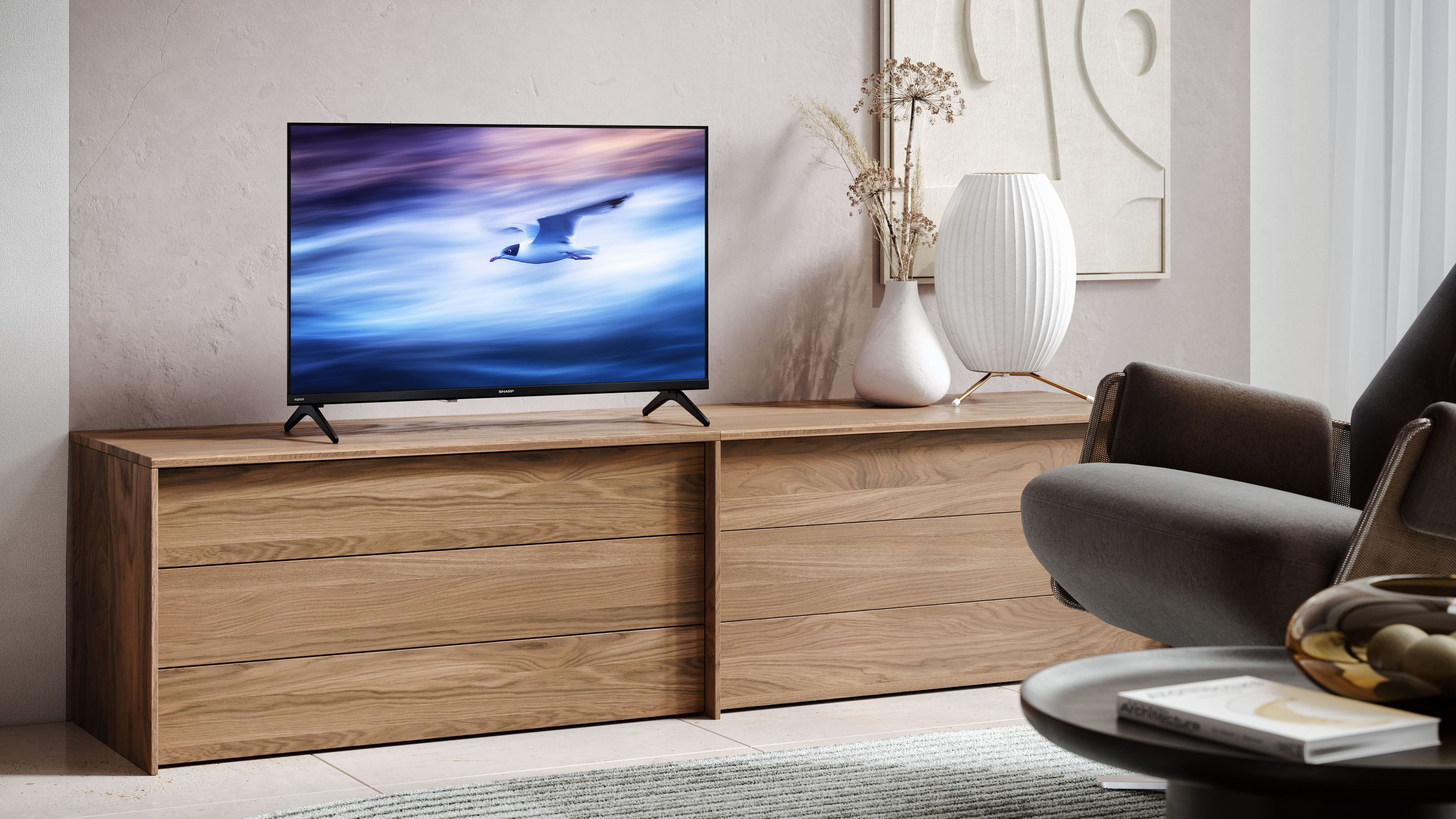 Ein Fernseher auf einem Holzschrank zeigt einen Seevogel im Flug.