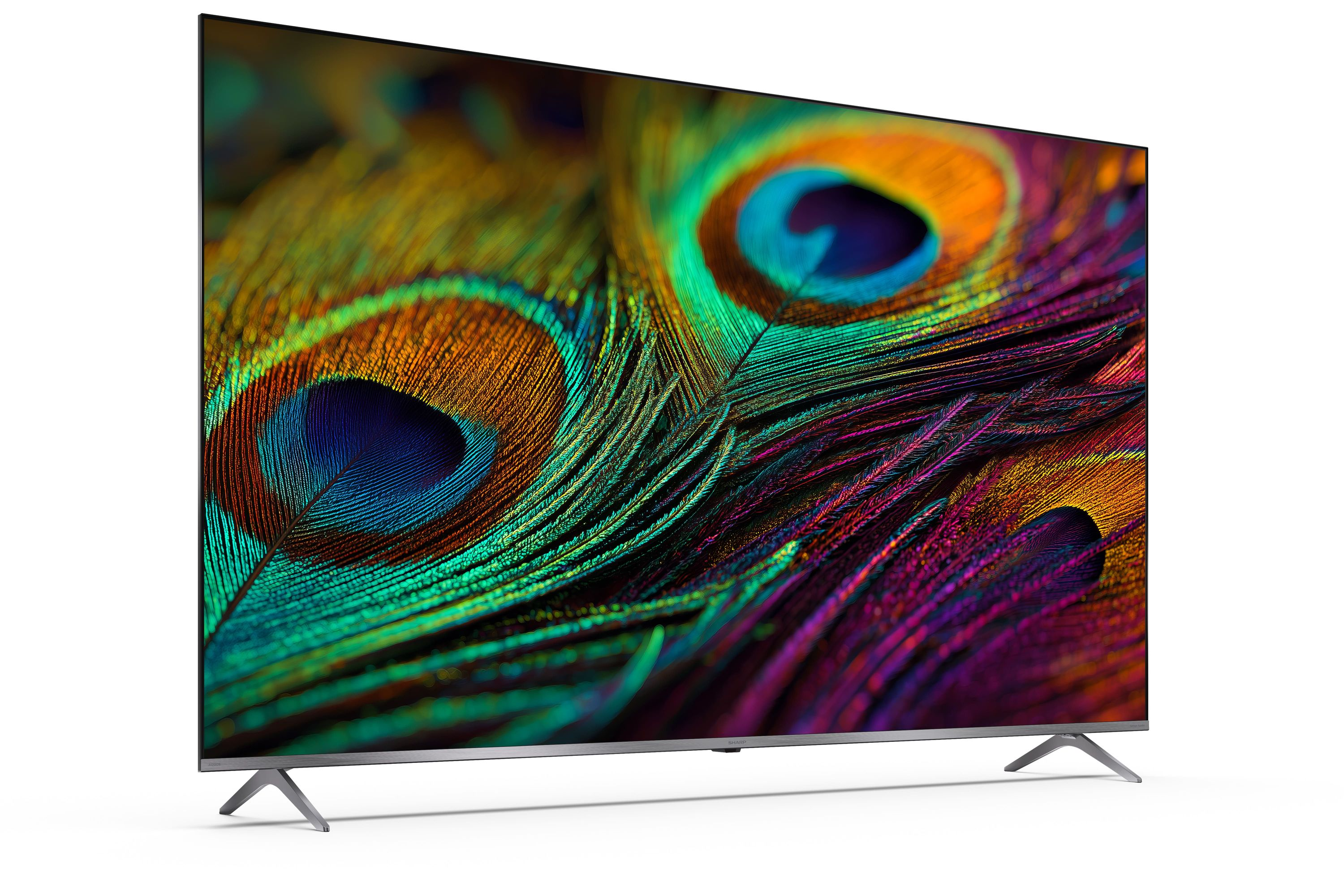 Una TV moderna mostra un'immagine macro di piume di pavone dai colori vivaci.