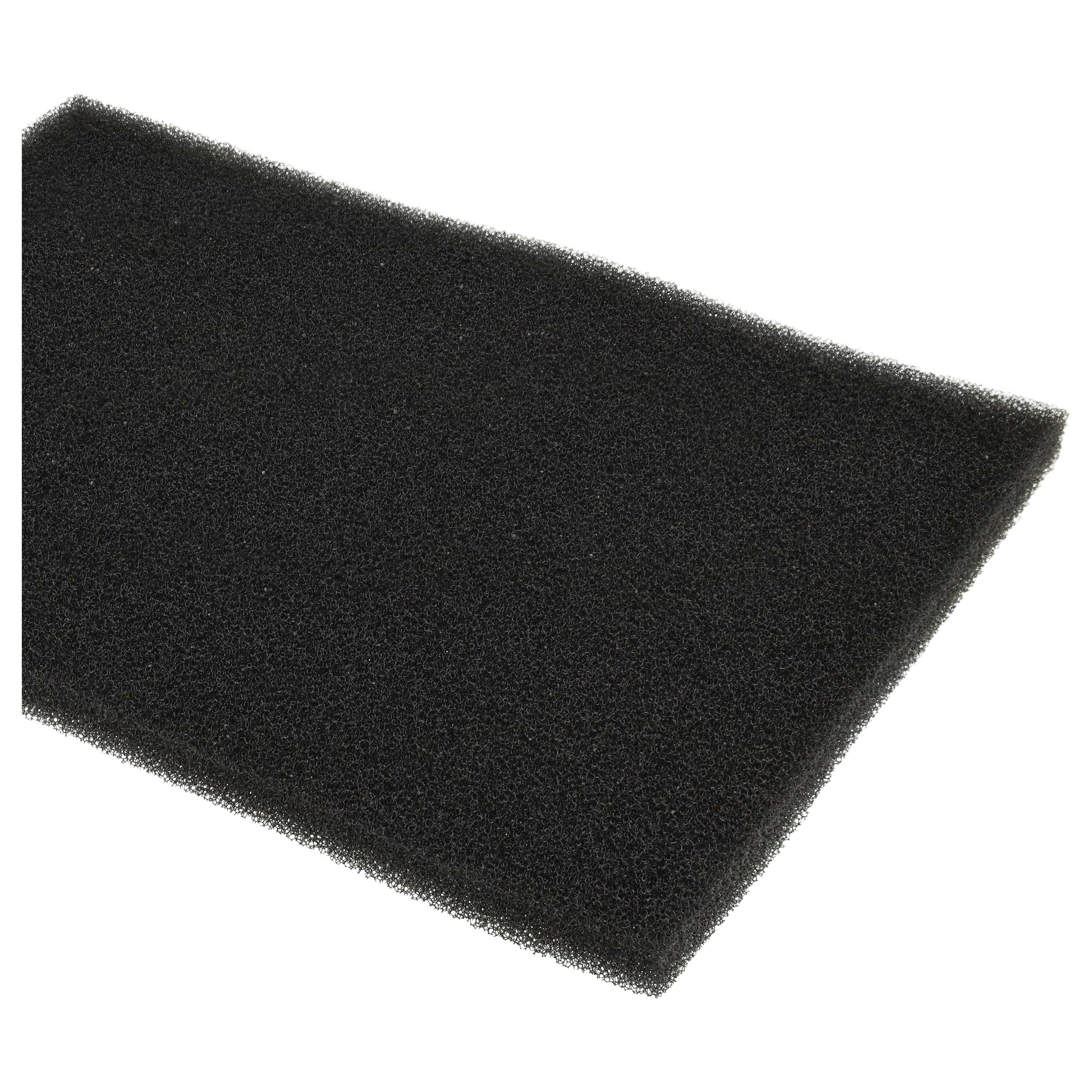Schwarzer Schaumstofffilter auf weißem Hintergrund.