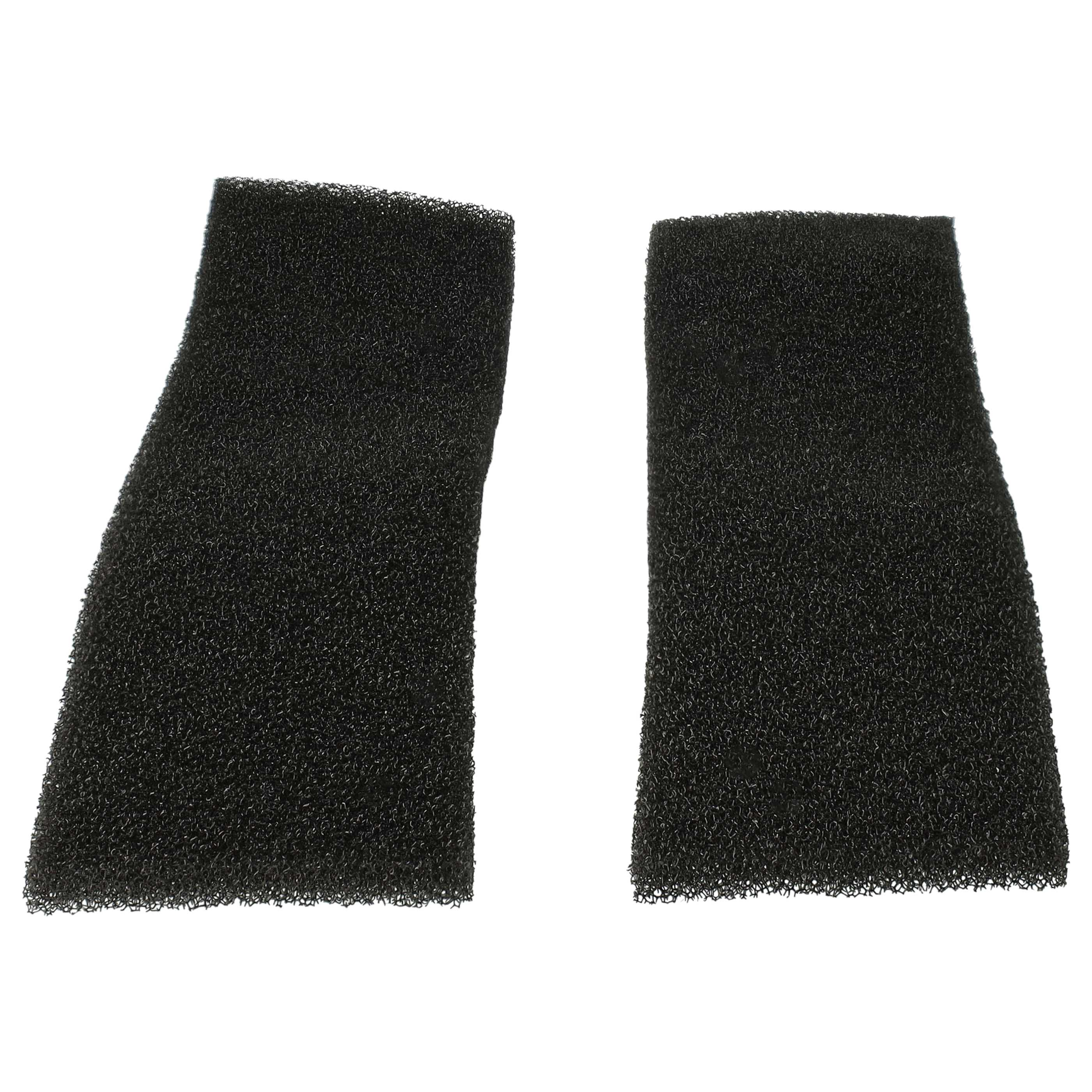 Zwei schwarze Schaumstofffilter liegen nebeneinander auf weißem Hintergrund.